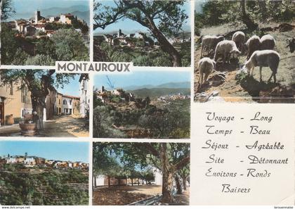 83 - MONTAUROUX - Multivues