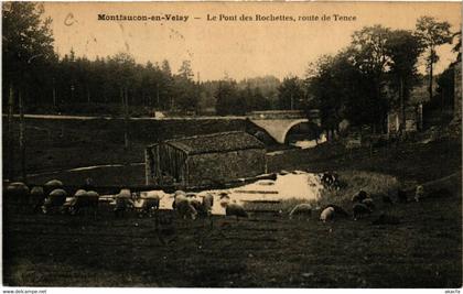 CPA MONTFAUCON-en-VELAY - Le Pont des Rochettes route de-TENCE (517453)