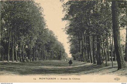 91 - Montgeron - Avenue du Château - Animée - CPA - Voir Scans Recto-Verso