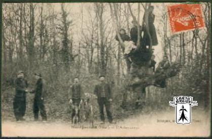 60 Montjavoult - Montjavoult (Oise) - L´Arbre creux - cpa