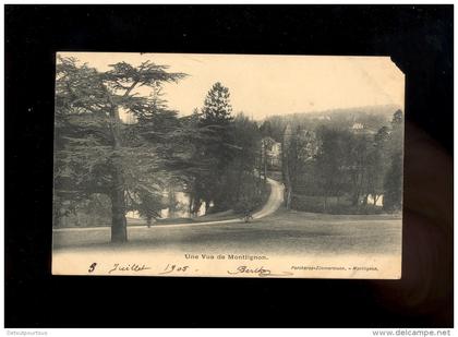 MONTLIGNON Val d'Oise 95 : une vue de Montlignon 1905  / jardin public parc