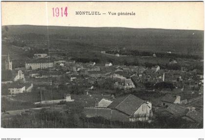 Carte Postale Ancienne de MONTLUEL-vue générale