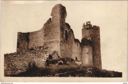 CPA NAJAC - Ruines du Chateau (133499)