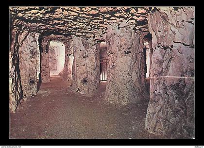 80 - Les Grottes de Naours - CPM - Voir Scans Recto-Verso