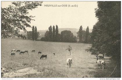 Neuville-sur-Oise (95.Val d´Oise)  Pâturage