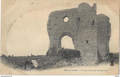 Neuvy-le-Roi - Ruines de Beauvais