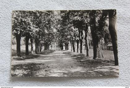 Cpsm 1959, Nogent en Bassigny, les promenades des hautes vignes, haute Marne 52