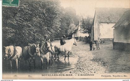 ( CPA 80 ) NOYELLES-SUR-MER  /  L'Abreuvoir -