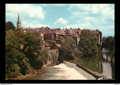 64 - Oloron Sainte Marie - Le Gave d'Ossau - CPM - Voir Scans Recto-Verso