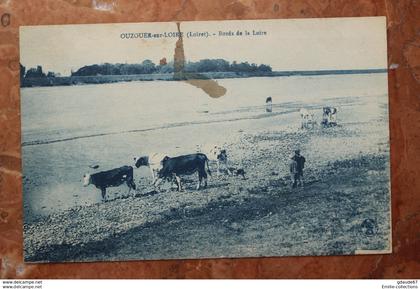 OUZOUER SUR LOIRE (45) - BORDS DE LA LOIRE