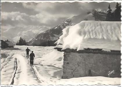 CPSM environs de Passy Dans les Neiges de Varens