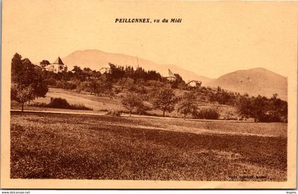 74 - PEILLONNEX -- Vu du Midi