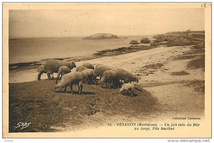 AM.V.16-131 :   PENESTIN  MOUTONS