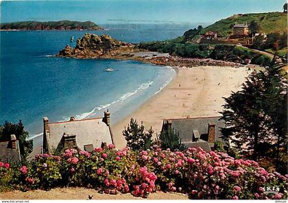 22 - Perros-Guirec - La plage de Trestrignel - Fleurs - Flamme Postale de Perros-Guirec - CPM - Voir Scans Recto-Verso