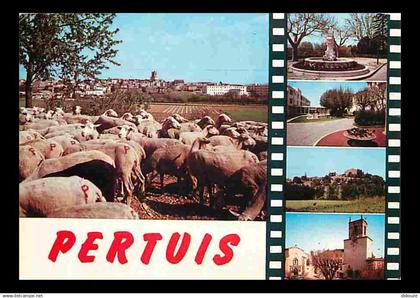 84 - Pertuis - Multivues - Moutons - Flamme Postale - CPM - Voir Scans Recto-Verso