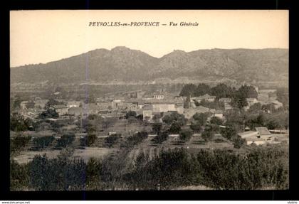 13 - PEYROLLES - VUE GENERALE