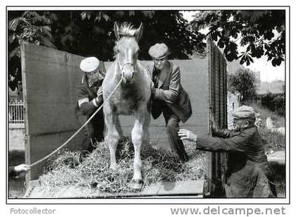 Ploudalmézeau 1978 par Pierre Le Gall (29)