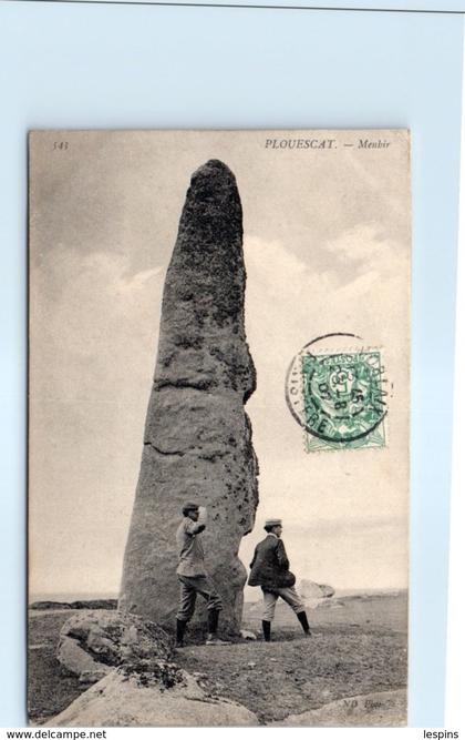 29 - PLOUESCAT --  Menhir