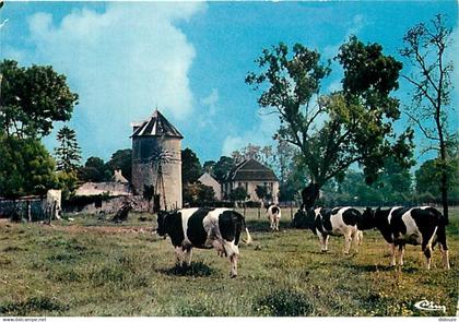 77 - Pontault Combault - La Ferme Dinneveth - Vaches - CPM - Voir Scans Recto-Verso