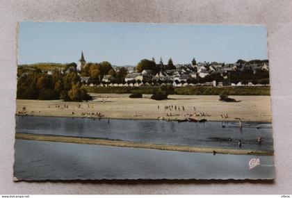 K665, Cpsm, Pouilly sur Loire, vue générale et la Loire, Nièvre 58