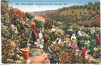 CPA-Carte Postale  France Côte d'Azur Cueillette  de la Fleur d'Oranger 1930 VM53457ok