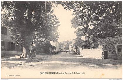 81 - TARN - Roquecourbe - avenue de Labessonié