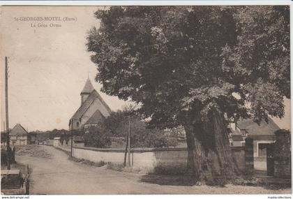 Saint-Georges-Motel (Eure)  Le Gros Orme - Arbre remarquable