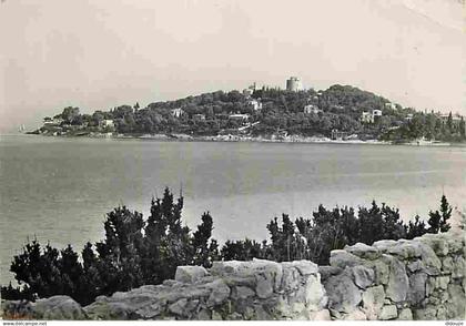 06 - Saint Jean Cap Ferrat - Vue sur la Pointe de Sainte Hospice - CPM - Voir Scans Recto-Verso