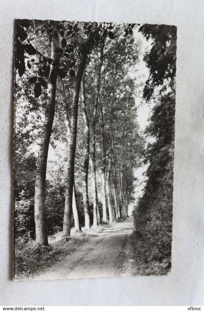 Cpsm 1962, Saint Julien du Sault, chemin de l'ile d'Amour, Yonne 89