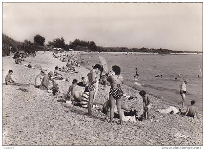 Saint Laurent du Var 06 - Plage