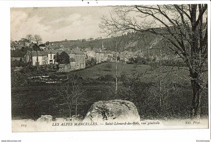 CPA  Carte Postale France-Saint-Léonard-des-Bois vue générale  -VM30806