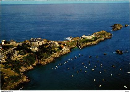 CPM Saint Lunaire- vue aerienne de la pointe du Decolle FRANCE (1022653)