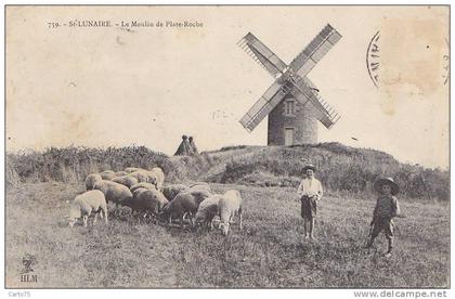 Saint Lunaire 35 -  Moulin à vent  - Berger Moutons