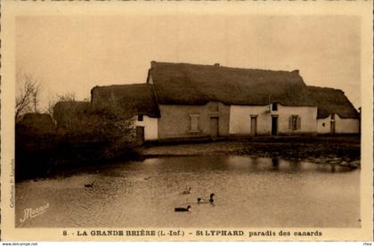 44 - SAINT-LYPHARD - Brière - canards - chaumière