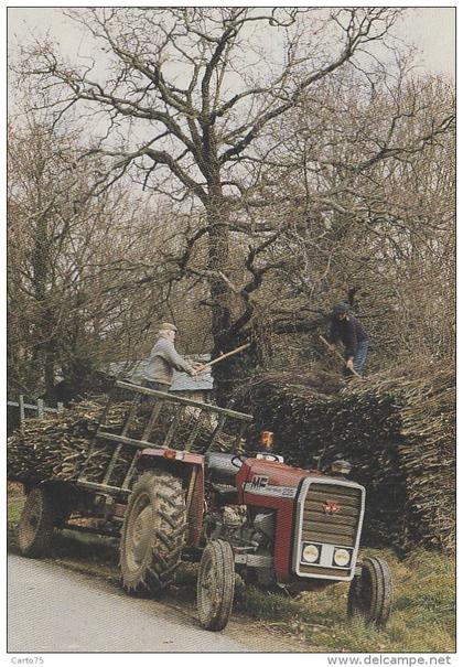 Pingrin Saint-Lyphard 44 - Métiers Agriculture Fagots Bois - Tracteur