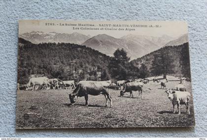 saint Martin Vésubie, les Colmianes et chaîne des Alpes, Alpes maritimes 06