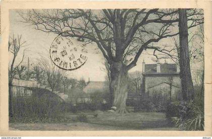 94 - Saint Maur des Fosses - Parc Saint Maur - Le grand chêne - Arbre remarquable - CPA - Oblitération de 1929 - Voir Sc