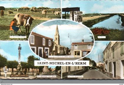 24-8699 : SAINT-MICHEL-EN-L'HERM