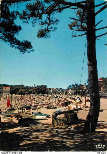 17 - Saint Palais sur Mer - La Plage - CPM - Voir Scans Recto-Verso