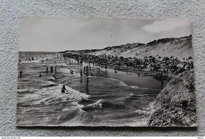 Cpsm, Saint Palais sur mer, la plage et les dunes de la grande côte, Charente maritime 17