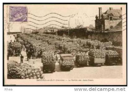 29 Saint-Pol-de-Léon SAINT-POL-de-LEON (Finistère) - Le Marché choux-fleurs legume fle D29D K29259K C29259C RH009859