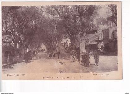 SAINT REMY DE PROVENCE(ARBRE)