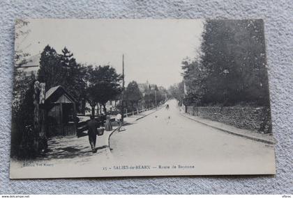 Salies de Bearn, route de Bayonne, Pyrénées atlantiques 64