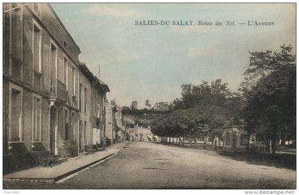 SALIES DU SALAT - L'Avenue