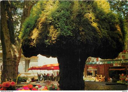 13 - Salon de Provence - Fontaine Moussue - CPM - Flamme Postale - Voir Scans Recto-Verso