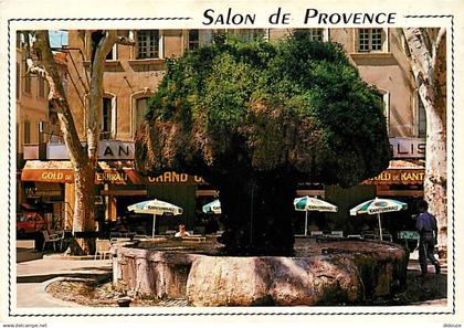 13 - Salon de Provence - La Fontaine moussue et la Place Crousillat - Flamme Postale de Salon de Provence - CPM - Voir S