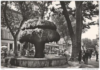 CPSM Salon-de-Provence - La Fontaine Moussue