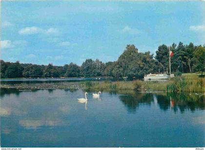 21 - Saulieu - Le Lac aux truites aux environs de Saulieu - CPM - Carte Neuve - Voir Scans Recto-Verso