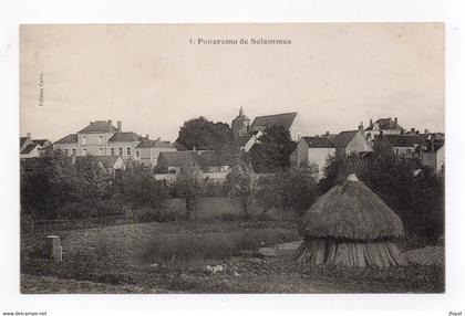 41 LOIR ET CHER - SELOMMES Panorama (voir description)