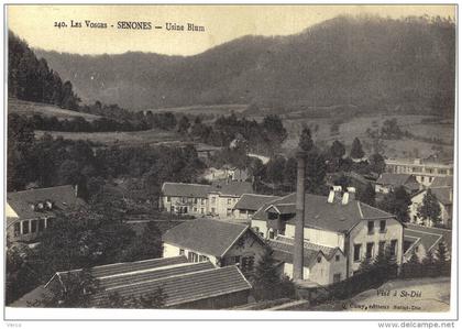 Carte Postale Ancienne de SENONES